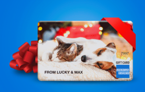 amex gift card